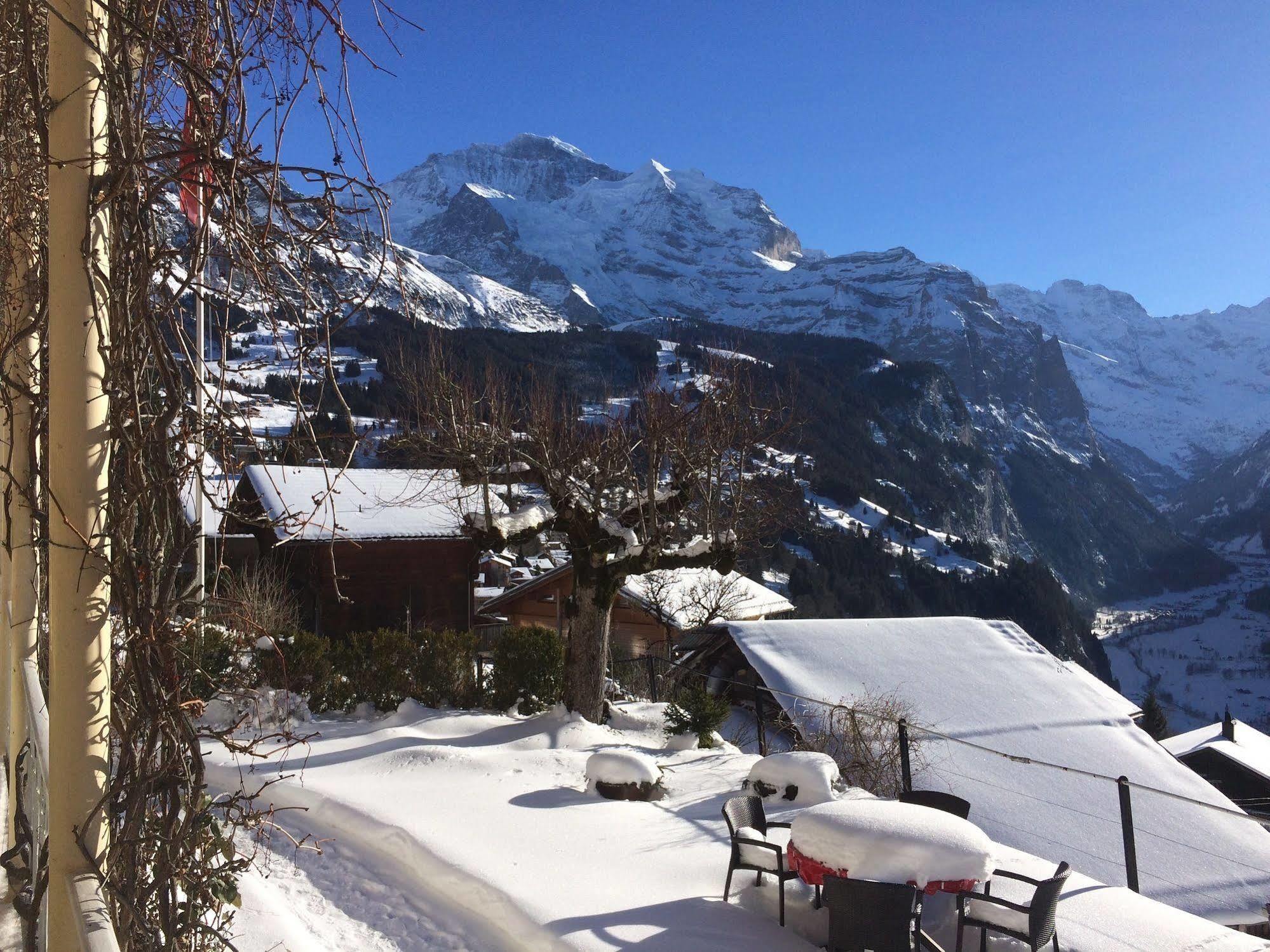 Minotel Bellevue Wengen Eksteriør bilde